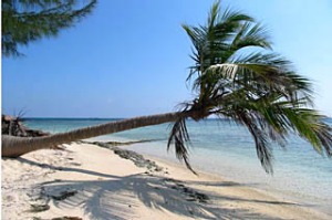 Sandy cay private island