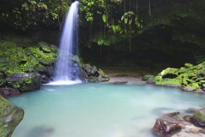 DOMINICA: Emerald pool deep in the rainforest.