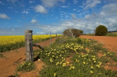 wheatbelt western australia