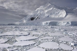 Crystal Sound in Antarctic Peninsula.