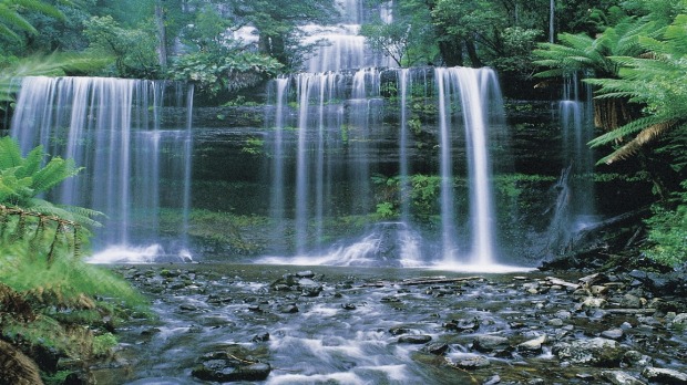The gorgeous Russell Falls is very accessible.


  
Russell_Falls