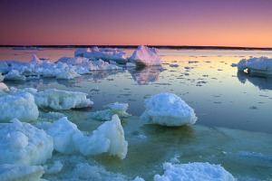 The polar regions offer spectacular photo opportunities, but make sure you take a backup device as conditions are ...