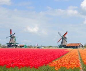 Netherlands, windmills