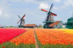 Netherlands, windmills