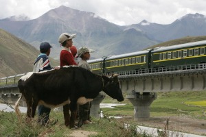A Train from Lhasa Railway Station travels on the Tibetan grasslands near Lhasa, Tibet.