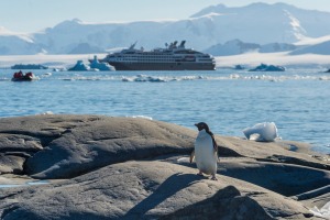 Ponant cruise to Antarctica.
