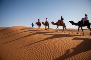 Camel rides can be anything from 15 minutes to several hours at Erg Chebbi in the Sahara Desert.