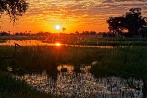 Sunset in the wildlife-rich Okavango Delta, Botswana.