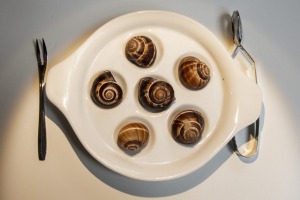 French snails.
