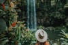 Millaa Millaa Falls, Queensland