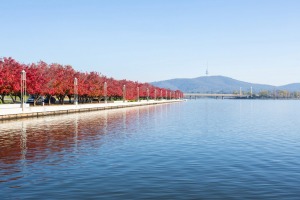 Canberra is the most Australian of all our capitals, encompassing much that makes Australia great and unique.
