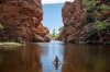 Ellery Creek near Alice Springs. Recent rains have turned the desert green and filled the waterholes to the brim.