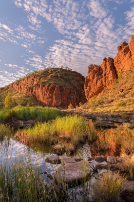 Sitting 130 kilometres west of Alice, Glen Helen Gorge holds water throughout the year.