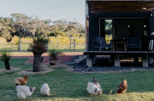 Close to the white sand of Smith's Beach,Barn Hives is an ideal base for exploring the Margaret River region's food and ...