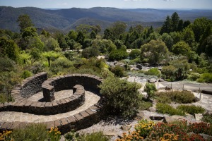Blue Mountains Botanic Garden, Mount Tomah. The cool-climate site showcases the magnificent foliage of the Blue ...
