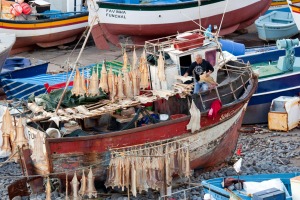 A fisherman hangs cod to dry in his boat at the Port of Camara de Lobos, Madeira, Portugal