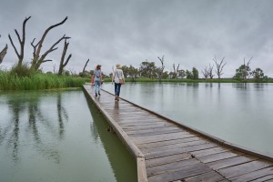 The boardwalk is the most popular of Banrock Station's walks, providing a glimpse into the wetland's vitality.