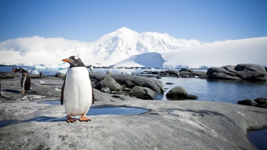 Antarctica: The planet's outstanding last frontier.